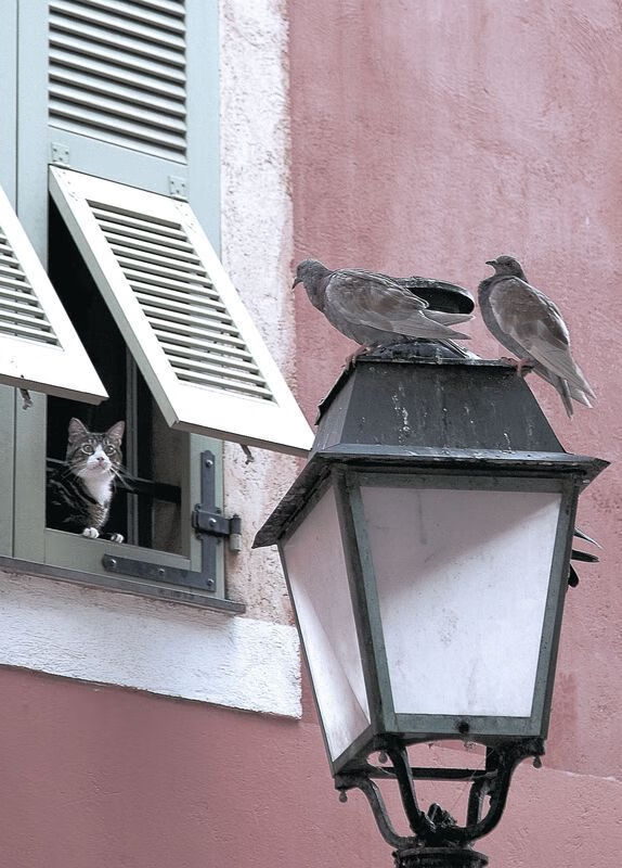 乐鱼体育app官网入口-五大联赛是否将控球转换区作为新核心组织区域,五大联赛任意球